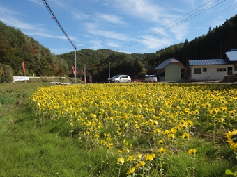 【締め切りました】あの日から5年 「忘れない」「続ける」 被災地の皆さまに今一度思いを寄せるためのチャリティイベント